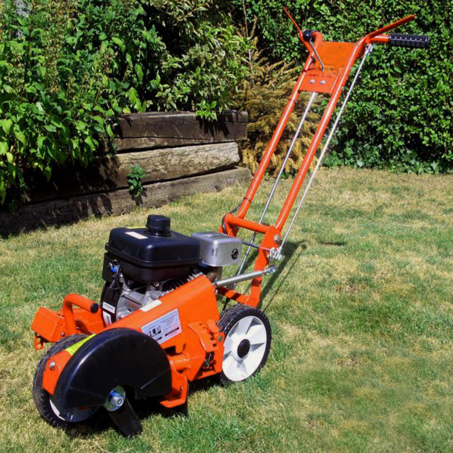 Lawn_Edger_Repair Servicing 1