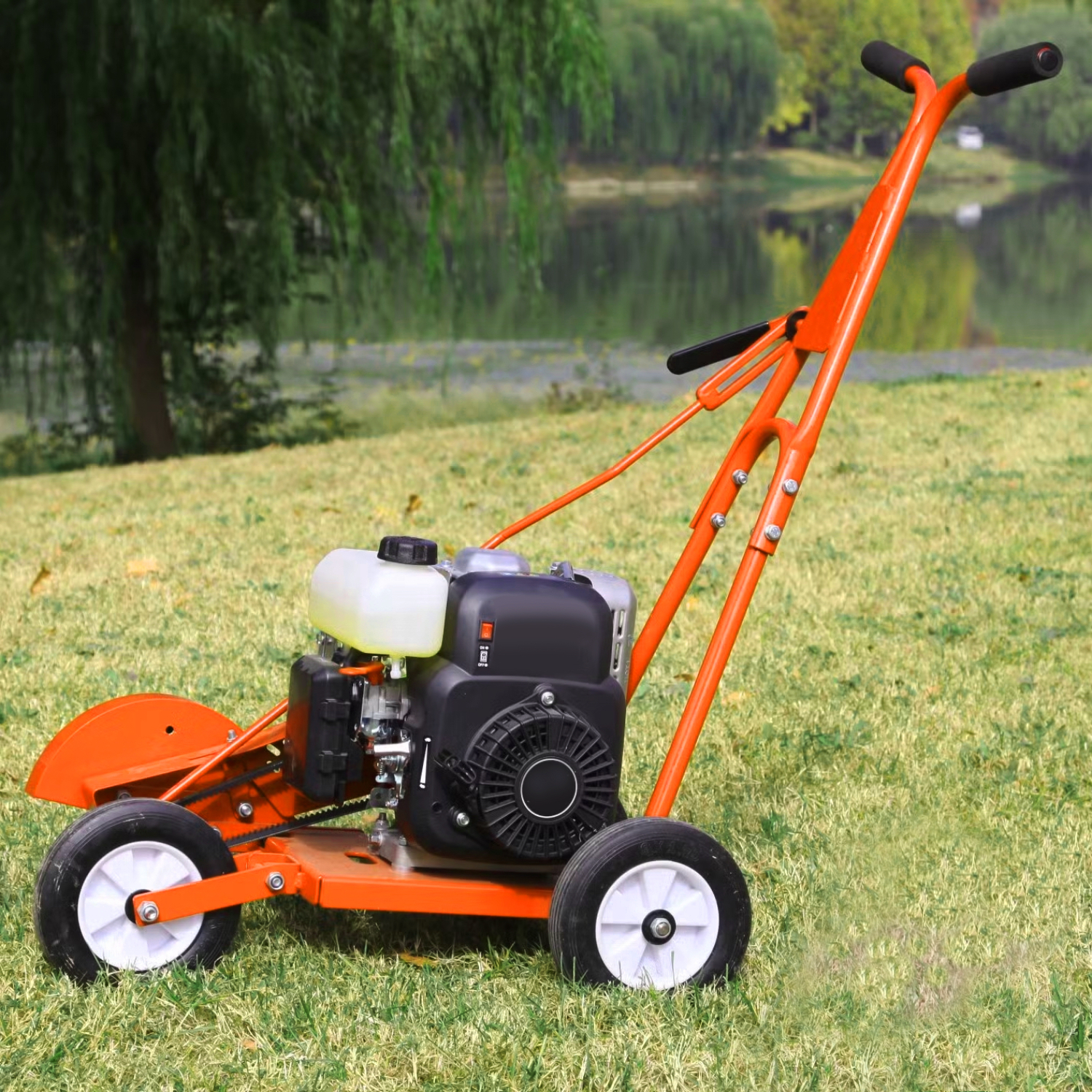Lawn_Edger_Repair Servicing 2